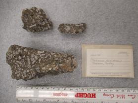 Leucite