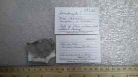 Scrutinyite