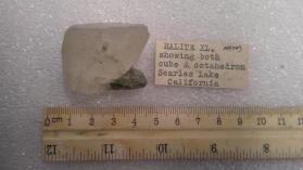 Halite