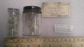 Octahedral Halite