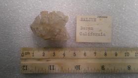 Halite