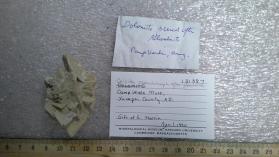 Gypsum