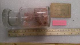 Carnallite