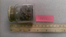 Carnallite