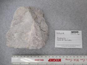 Pollucite