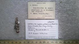 Lepidolite