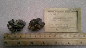 Dysanalite, Magnetite, and Garnet