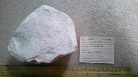 Priceite
