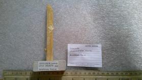 stibiconite