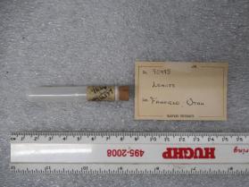 lehiite