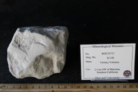 Tertiary Ash