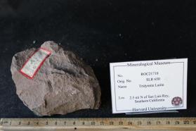 Tridymite Latite