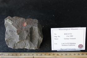 Tertiary Volcanic