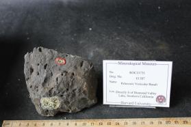 Vesicular Basalt