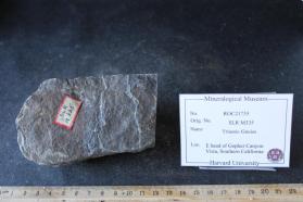 Triassic Schist