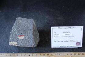 Triassic Quartzite