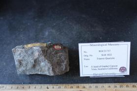 Triassic Quartzite