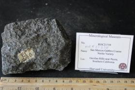 San Marcos Gabbro Coarse Norite Variety