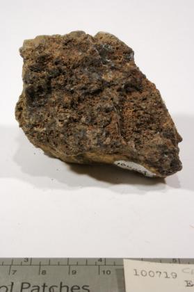 embolite