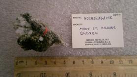 Hochelagaite