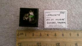 Lemoynite