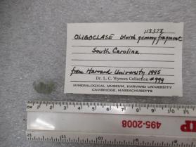 OLIGOCLASE