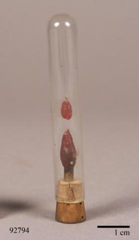 Mooreite