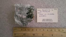 Tadzhikite with Pectolite