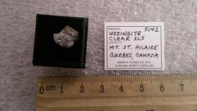 Ussingite