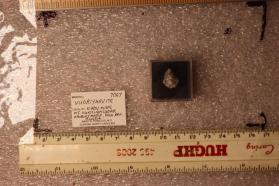 Vuoriyarvite
