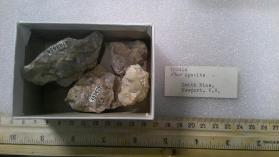 FLUORAPATITE