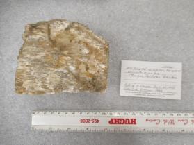 MICROCLINE