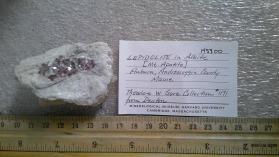Lepidolite in Albite