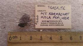 Terskite