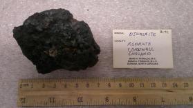 Djurleite