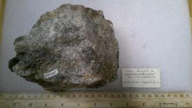 FLUORAPATITE