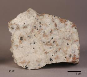 Chondrodite