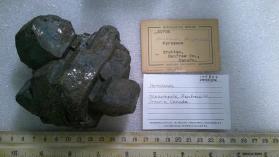 hornblende
