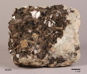 Manganophyllite