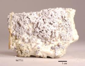 SPINEL