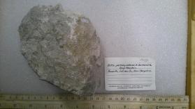 Beryl