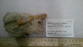 Beryl with quartz in feldspar