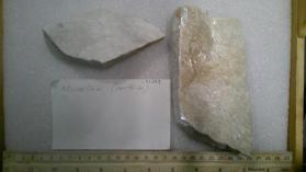 Microcline (perthite)