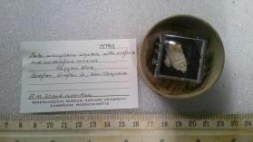 Beta-uranophane crystals