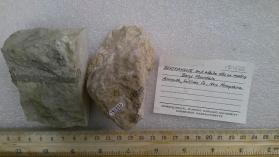 Bertrandite and albite xtls on matrix