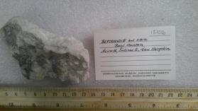 Bertrandite and albite