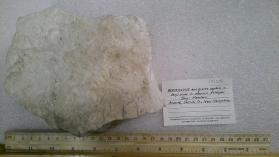Bertrandite and quartz crystals