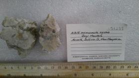 Albite and muscovite crystals