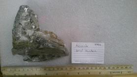 Muscovite