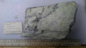 wernerite